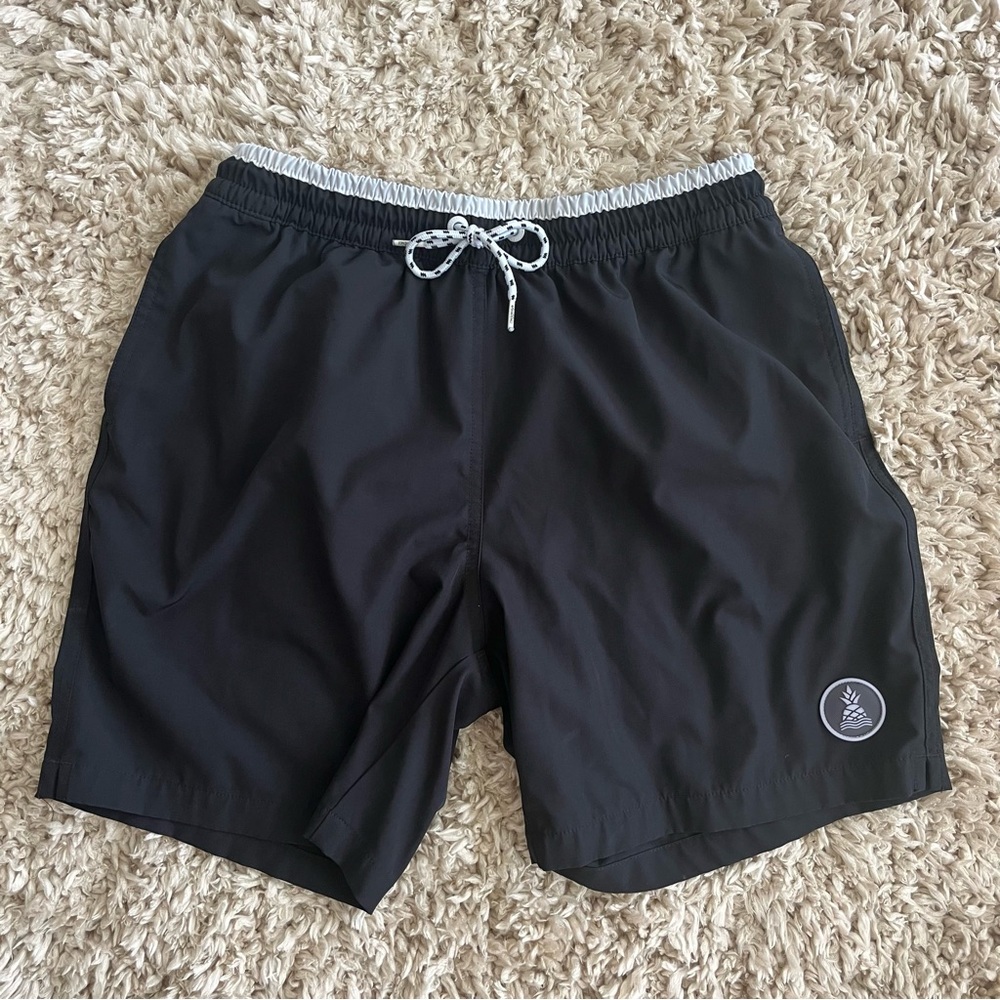 Chubbies swim shorts